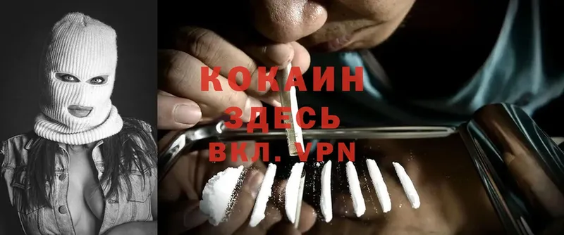 купить  сайты  мориарти наркотические препараты  Cocaine Эквадор  Таганрог 